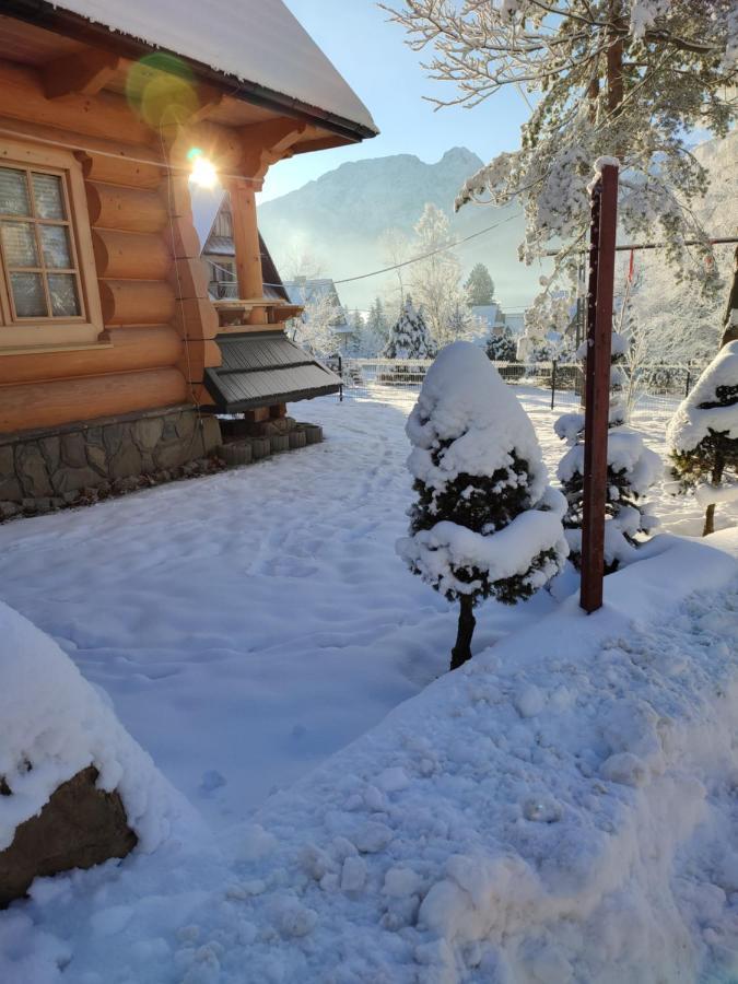 Biolo I Corno Izba Mountain Chalets Kościelisko Oda fotoğraf