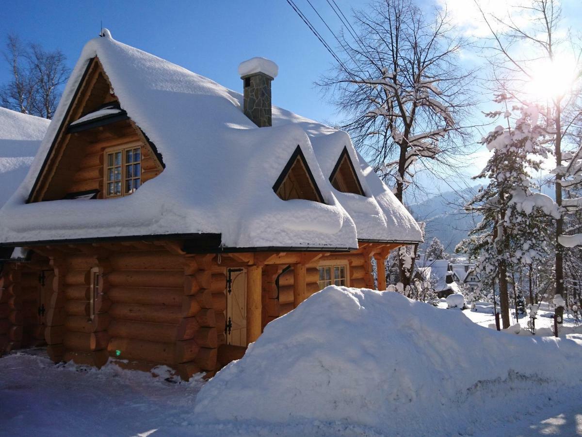 Biolo I Corno Izba Mountain Chalets Kościelisko Dış mekan fotoğraf