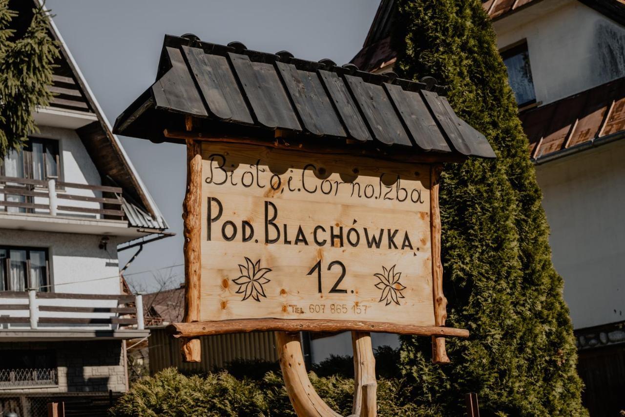 Biolo I Corno Izba Mountain Chalets Kościelisko Dış mekan fotoğraf