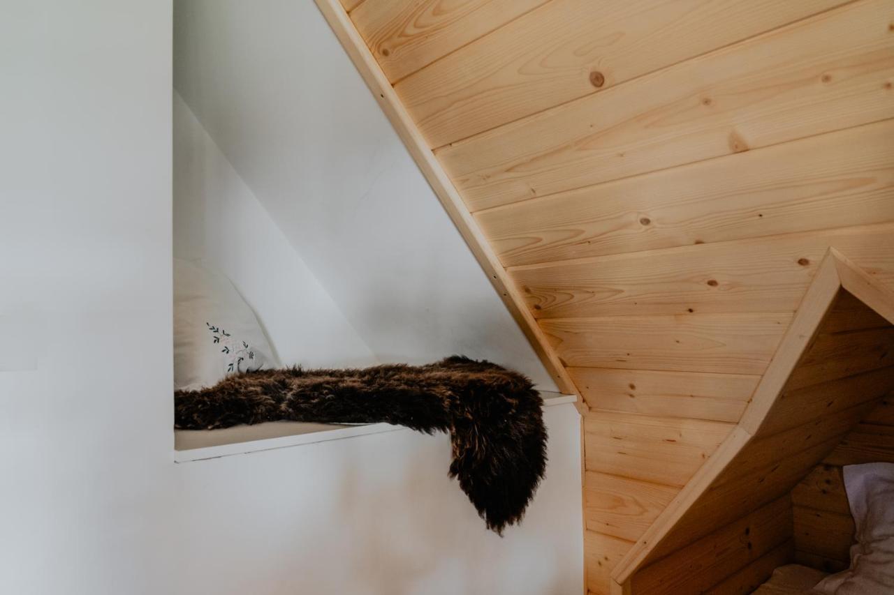 Biolo I Corno Izba Mountain Chalets Kościelisko Dış mekan fotoğraf