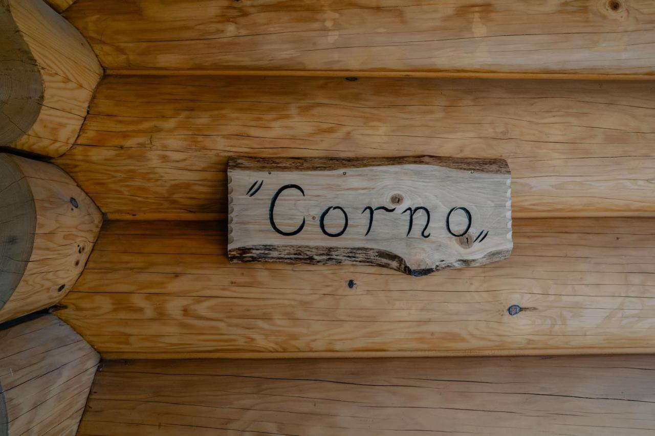 Biolo I Corno Izba Mountain Chalets Kościelisko Dış mekan fotoğraf