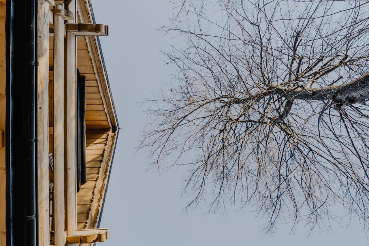 Biolo I Corno Izba Mountain Chalets Kościelisko Dış mekan fotoğraf